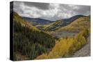 Stretched Canvas