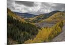 Wood Mount