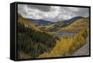 Canvas Black