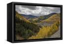 Canvas Black