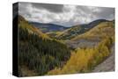 Stretched Canvas