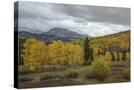 Stretched Canvas