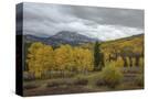 Stretched Canvas
