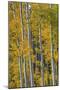 Wood Mount