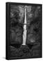 Essential Black