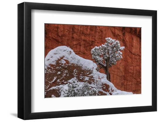 Photographic Print, , large