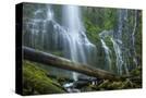 Stretched Canvas