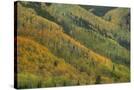 Stretched Canvas