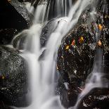 Waterfall, Hardcastle Crags, Calderdale, Yorkshire, England, United Kingdom, Europe-Bill Ward-Photographic Print