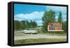 Billboard for Bemidji, Minnesota-null-Framed Stretched Canvas