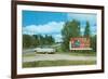 Billboard for Bemidji, Minnesota-null-Framed Premium Giclee Print
