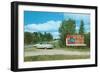 Billboard for Bemidji, Minnesota-null-Framed Art Print