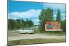 Billboard for Bemidji, Minnesota-null-Mounted Art Print