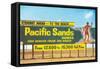 Billboard, Surfer, Beach Homes-null-Framed Stretched Canvas