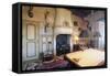 Billiard Room with Hunting Trophy, Chateau of Fayrac, Castelnaud-La-Chapelle, Aquitaine, France-null-Framed Stretched Canvas