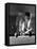 Billiards Player 1930S-null-Framed Stretched Canvas