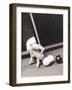 Billiards World Champion Willie Hoppe's Hand Was Insured for $100,000-null-Framed Premium Photographic Print