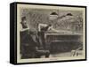 Billiards-null-Framed Stretched Canvas