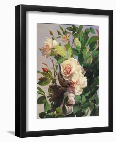 Billing and Cooing-Carl Balsgaard-Framed Giclee Print