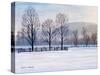 Billings Farm Morning-Bruce Dumas-Stretched Canvas