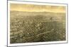 Billings, Montana. County-Seat of Yellowstone County, Circa 1904, USA, America-null-Mounted Giclee Print