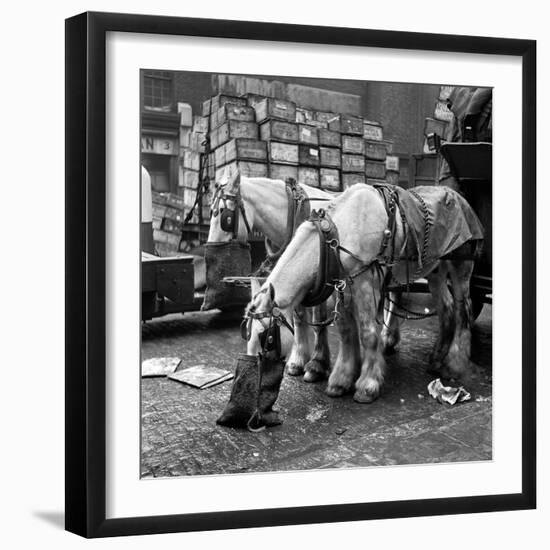 Billingsgate Fish Market 1954-Bela Zola-Framed Photographic Print