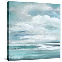 Billowing Clouds I-Janet Tava-Stretched Canvas