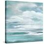 Billowing Clouds I-Janet Tava-Stretched Canvas