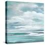 Billowing Clouds I-Janet Tava-Stretched Canvas