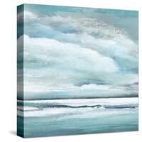 Billowing Clouds II-Janet Tava-Stretched Canvas