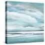 Billowing Clouds II-Janet Tava-Stretched Canvas