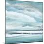 Billowing Clouds II-Janet Tava-Mounted Art Print