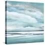 Billowing Clouds II-Janet Tava-Stretched Canvas