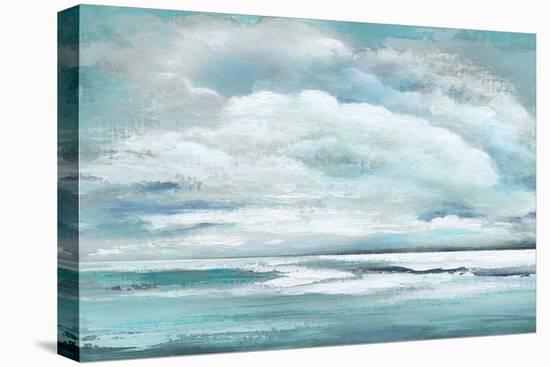 Billowing Clouds-Janet Tava-Stretched Canvas