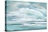 Billowing Clouds-Janet Tava-Stretched Canvas