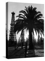 Billowing Palm Tree Gracing the Stark Structures of Towering Oil Rigs-Alfred Eisenstaedt-Stretched Canvas