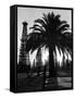 Billowing Palm Tree Gracing the Stark Structures of Towering Oil Rigs-Alfred Eisenstaedt-Framed Stretched Canvas