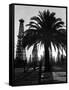 Billowing Palm Tree Gracing the Stark Structures of Towering Oil Rigs-Alfred Eisenstaedt-Framed Stretched Canvas