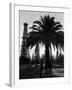 Billowing Palm Tree Gracing the Stark Structures of Towering Oil Rigs-Alfred Eisenstaedt-Framed Photographic Print