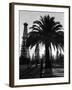 Billowing Palm Tree Gracing the Stark Structures of Towering Oil Rigs-Alfred Eisenstaedt-Framed Photographic Print