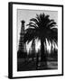 Billowing Palm Tree Gracing the Stark Structures of Towering Oil Rigs-Alfred Eisenstaedt-Framed Photographic Print