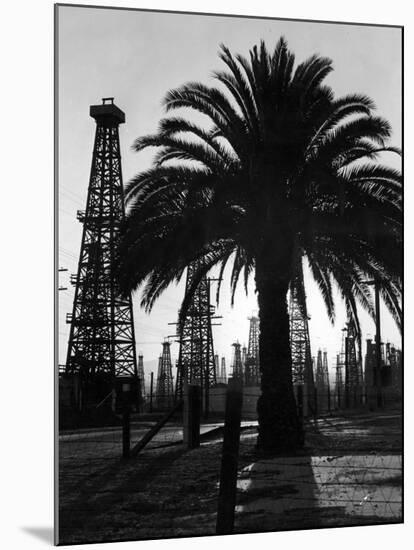 Billowing Palm Tree Gracing the Stark Structures of Towering Oil Rigs-Alfred Eisenstaedt-Mounted Photographic Print