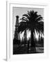 Billowing Palm Tree Gracing the Stark Structures of Towering Oil Rigs-Alfred Eisenstaedt-Framed Photographic Print