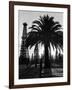 Billowing Palm Tree Gracing the Stark Structures of Towering Oil Rigs-Alfred Eisenstaedt-Framed Photographic Print