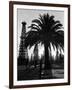 Billowing Palm Tree Gracing the Stark Structures of Towering Oil Rigs-Alfred Eisenstaedt-Framed Photographic Print