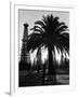 Billowing Palm Tree Gracing the Stark Structures of Towering Oil Rigs-Alfred Eisenstaedt-Framed Photographic Print