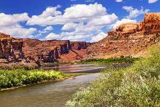 Colorado River Rock Canyon Reflection Green Grass outside Arches National Park Moab Utah-BILLPERRY-Photographic Print