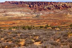 Painted Desert Yellow Grass Lands Orange Sandstone Red Moab Fault Arches National Park Moab Utah-BILLPERRY-Photographic Print