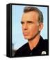 Billy Bob Thornton-null-Framed Stretched Canvas