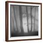 Brown Frame